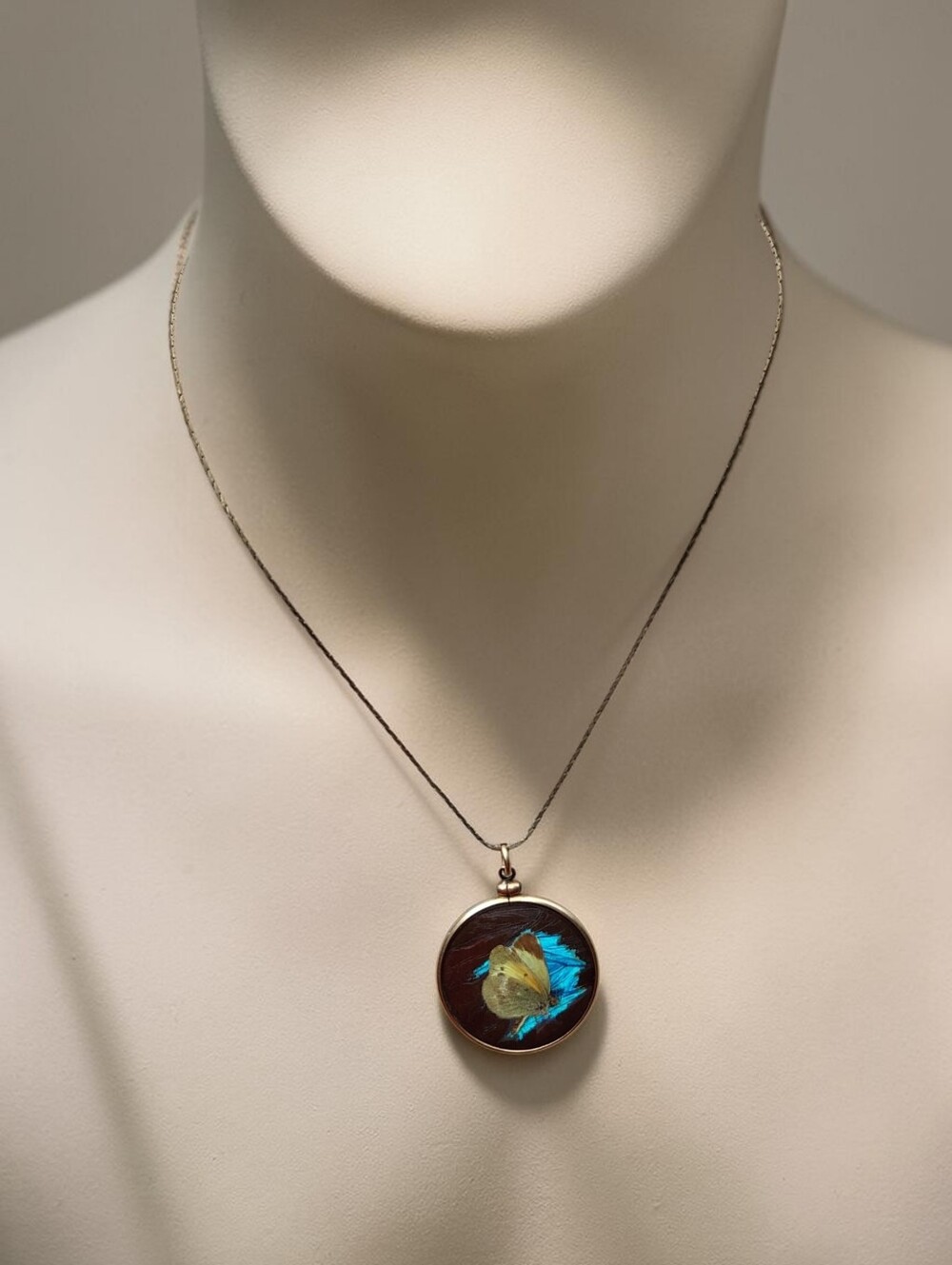 🦋 Antique Victorian Morpho Butterfly Pendant Necklace - Picture 2 of 6